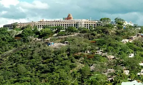 பழனியில் இன்று முதல் தரிசன கட்டணம் ரத்து