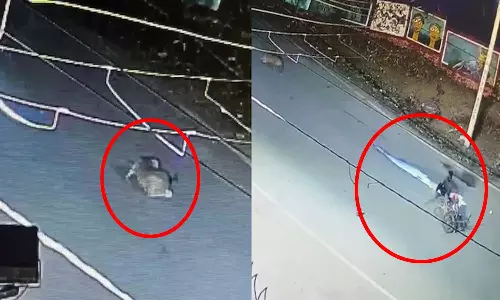 VIDEO: ராஜஸ்தானில் பைக்கில் வந்த பால்காரர் மீது வேகமாக மோதிய சிறுத்தை