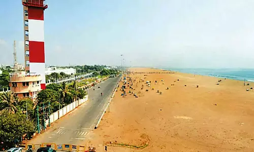 மெரினா சர்வீஸ் சாலையில் ஆயிரம் புன்னை மரங்கள் நட முடிவு- மாநகராட்சி அதிகாரி தகவல்