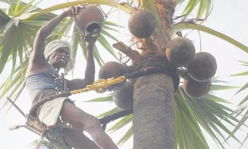 கள் இறக்க அனுமதி கோரி மாநிலம் தழுவிய போராட்டத்துக்கு தயாராகும் விவசாயிகள்