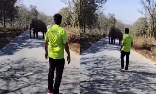 காட்டு யானையை வீடியோ எடுத்து தொந்தரவு செய்த நபருக்கு ரூ.25,000 அபராதம் விதித்த வனத்துறை