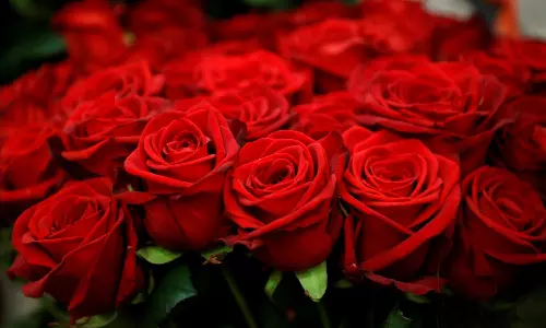 ஆதலால் காதல் செய்வீர்.. தினங்களை கடந்து கொண்டாடப்பட வேண்டிய தினம்!