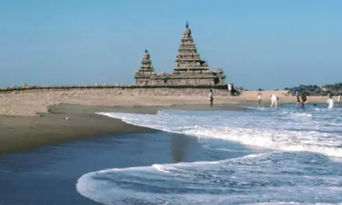 மாமல்லபுரத்தில் காலநிலை மாற்றத்தால் கடலில் மீன் வரத்து குறைந்தது