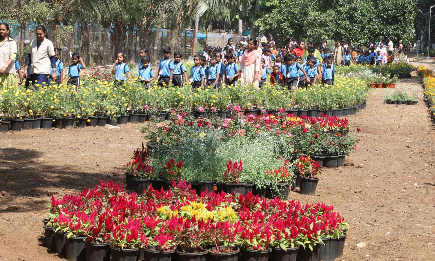 கோவை வேளாண் பல்கலைக்கழகத்தில் மலர் கண்காட்சியை 36 ஆயிரம் பேர் கண்டு ரசித்தனர்
