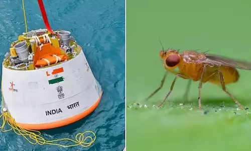 ககன்யான் முதல் பயணத்தில் ஈக்களை விண்வெளிக்கு அனுப்ப இஸ்ரோ திட்டம்