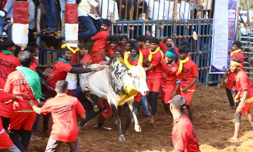 அலகுமலையில் ஜல்லிக்கட்டு- சீறிப்பாய்ந்த காளைகளை போட்டிப்போட்டு அடக்கிய வீரர்கள்
