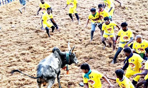 அலங்காநல்லூரில் பிரமாண்ட ஜல்லிக்கட்டு போட்டி: பொதுமக்கள் பார்த்து ரசித்தனர்