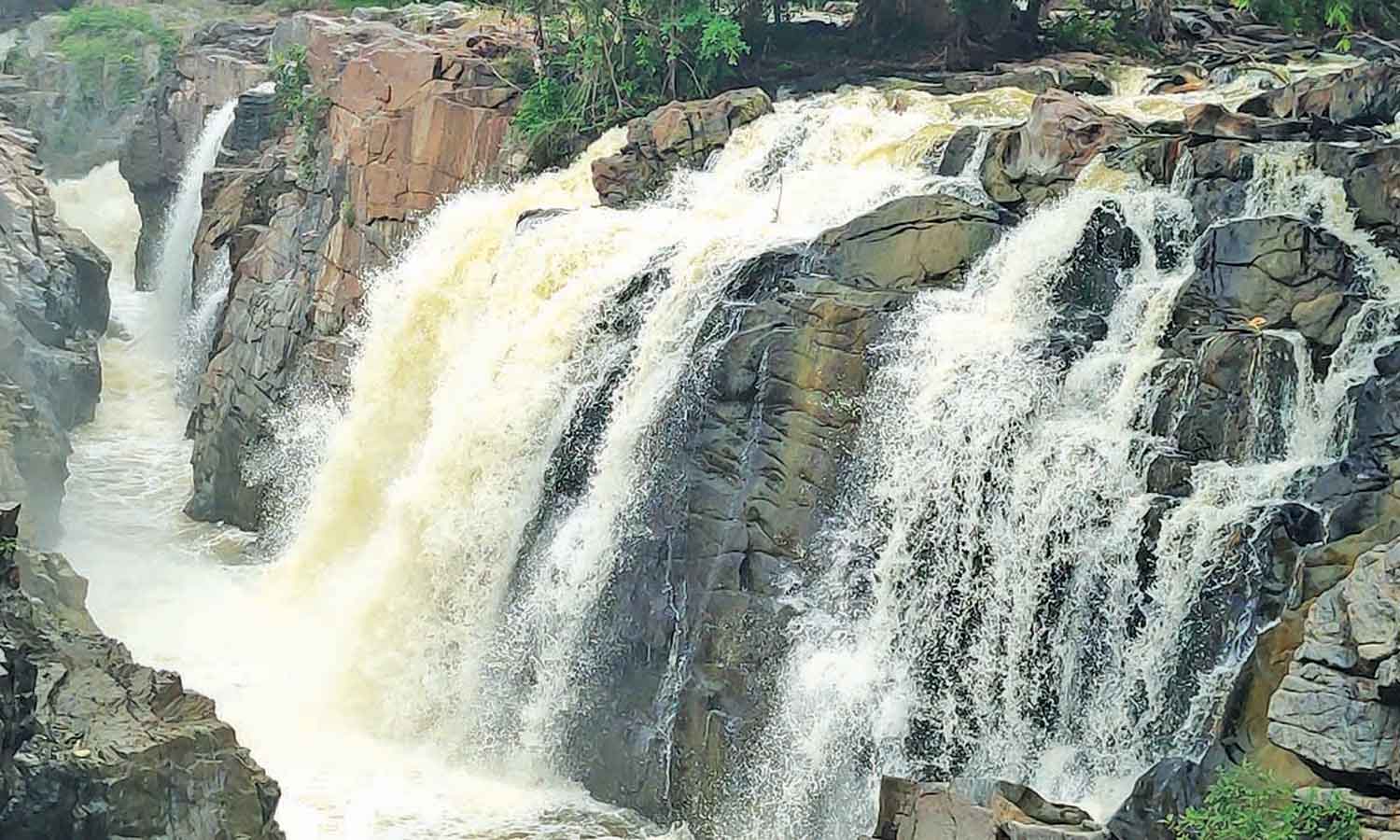 ஒகேனக்கல்லில் நீர்வரத்து 1200 கன அடியாக சரிவு