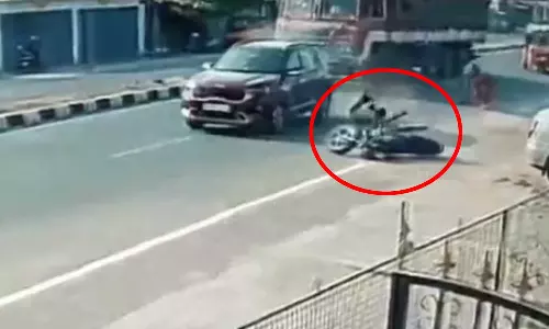 VIDEO: சட்டென சாலையில் குறுக்கிட்ட நாய் - பைக், கார், லாரி என அடுத்தடுத்து வாகனங்கள் மோதி விபத்து