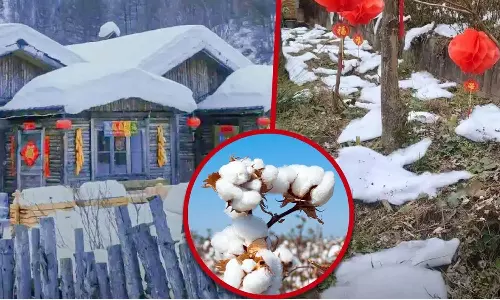 சோப்பு நுரையை வைத்து பனிப்பொழிவு இருப்பதுபோல் சுற்றுலா பயணிகளை ஏமாற்றிய சீனா நிர்வாகம்