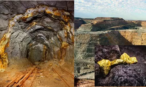 இந்தியாவின் முதல் தனியார் தங்கச் சுரங்கம்.. ஆந்திராவில் அமைகிறது - பின்னணி என்ன?