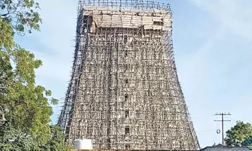 திருச்செந்தூர் கோவில் ராஜகோபுரம் புதுப்பிக்கும் பணிகள் மும்முரம்