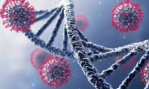 மீண்டும் அச்சுறுத்தல் - மனிதர்களிடையே பரவும் புதிய வகை கொரோனா வைரஸ்!