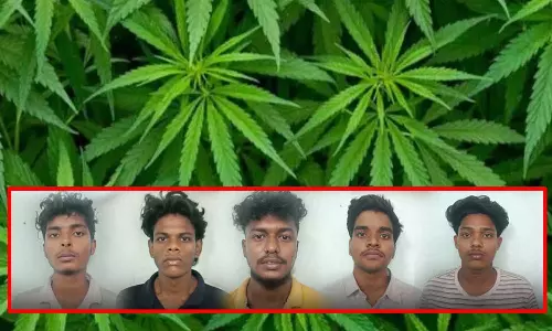 கோவை: வீட்டிலேயே கஞ்சா செடி வளர்த்த 5 கல்லூரி மாணவர்கள் கைது