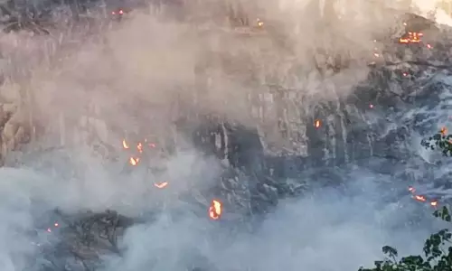 மேற்கு தொடர்ச்சி மலையில் காட்டுத்தீ- கல்லூரிக்கு விடுமுறை அறிவிப்பு