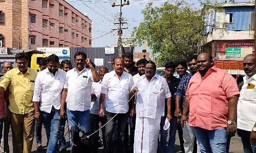 இந்தி திணிப்புக்கு எதிர்ப்பு: ஆட்டுக்குட்டியை அழைத்து வந்து தி.மு.க.வினர் நூதன போராட்டம்