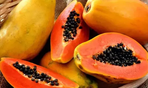 பப்பாளியின் மருத்துவ குணங்கள்