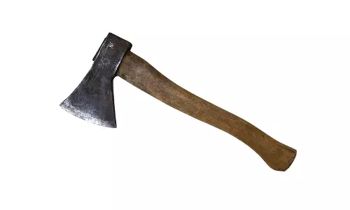 நிலத்தை எழுதி கொடுக்க மறுத்த தாய்: கோடரியால் தாக்கி உடலை தண்ணீர் தொட்டில் வீசிய கொடூர மகன்