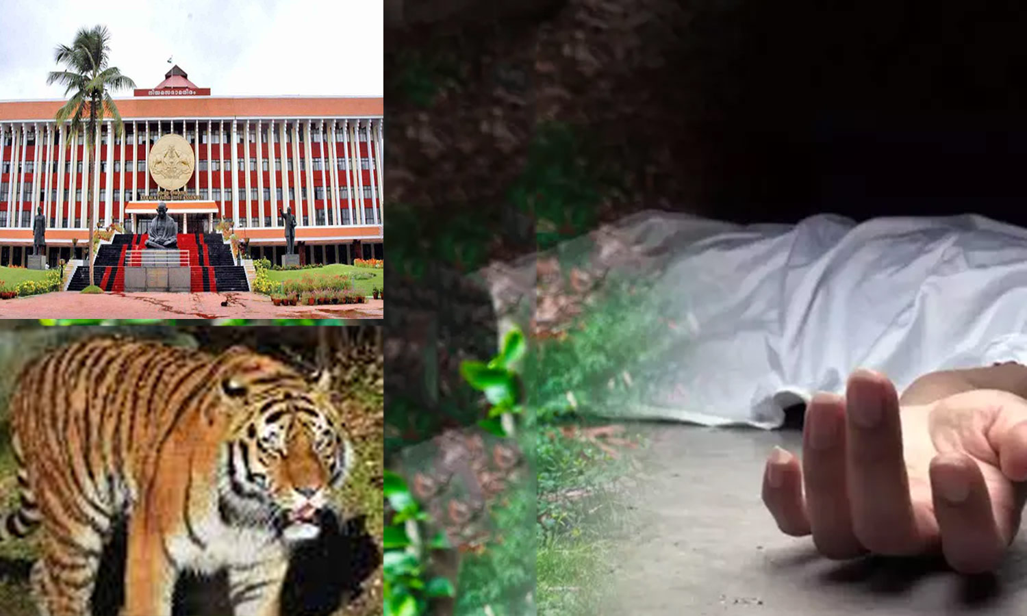 வனவிலங்குகளால் மலைவாழ் மக்கள் மரண பயத்தில் வாழ்வது உரிமை மீறல்- கேரள ஐகோர்ட் கருத்து