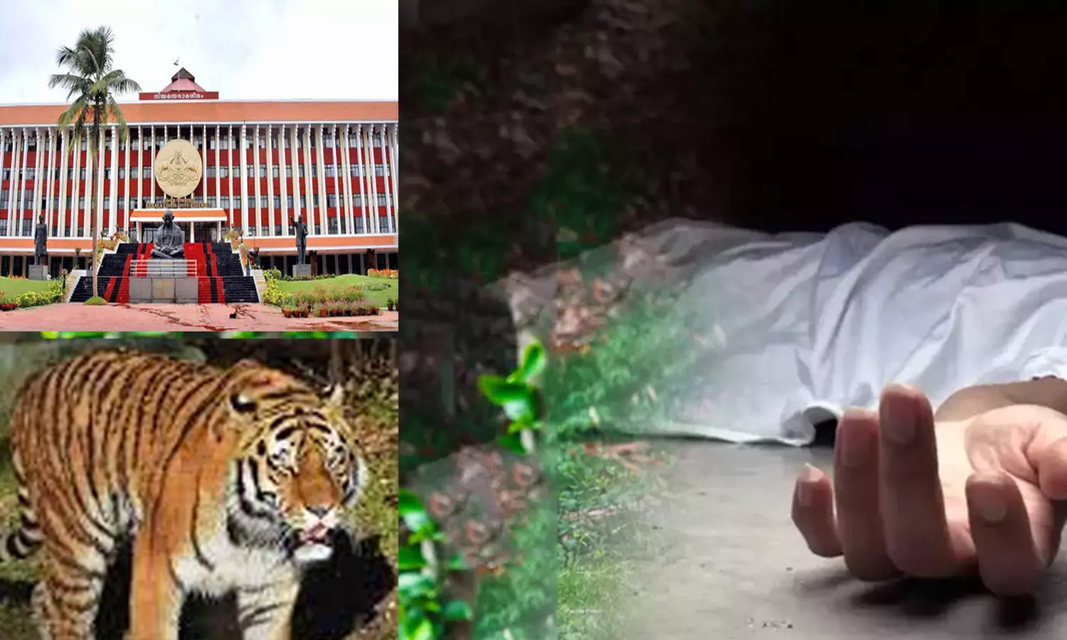 வனவிலங்குகளால் மலைவாழ் மக்கள் மரண பயத்தில் வாழ்வது உரிமை மீறல்- கேரள ஐகோர்ட் கருத்து