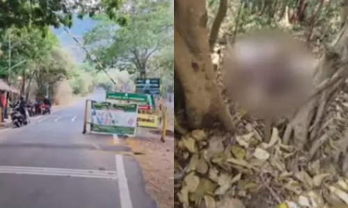 சிறுமலை தனியார் எஸ்டேட்டில் என்.ஐ.ஏ. அதிகாரிகள் ஆய்வு