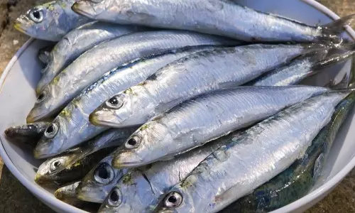 மாரடைப்பை தடுக்கும் 5 வகை மீன்கள்