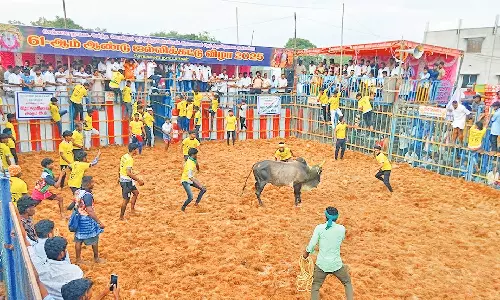 ஆலங்குடி அருகே ஜல்லிக்கட்டு போட்டி: அமைச்சர் மெய்யநாதன் தொடங்கிவைத்தார்