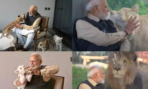 VIDEO: ஆனந்த் அம்பானியின் வந்தாரா வனவிலங்கு மையத்தில் சிங்கக்குட்டிக்கு பாலூட்டிய மோடி