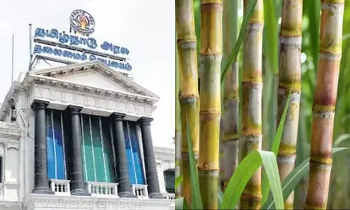 கரும்புக்கான கொள்முதல் விலையாக டன்னுக்கு  ரூ.3,151 நிர்ணயம்- தமிழ்நாடு அரசு