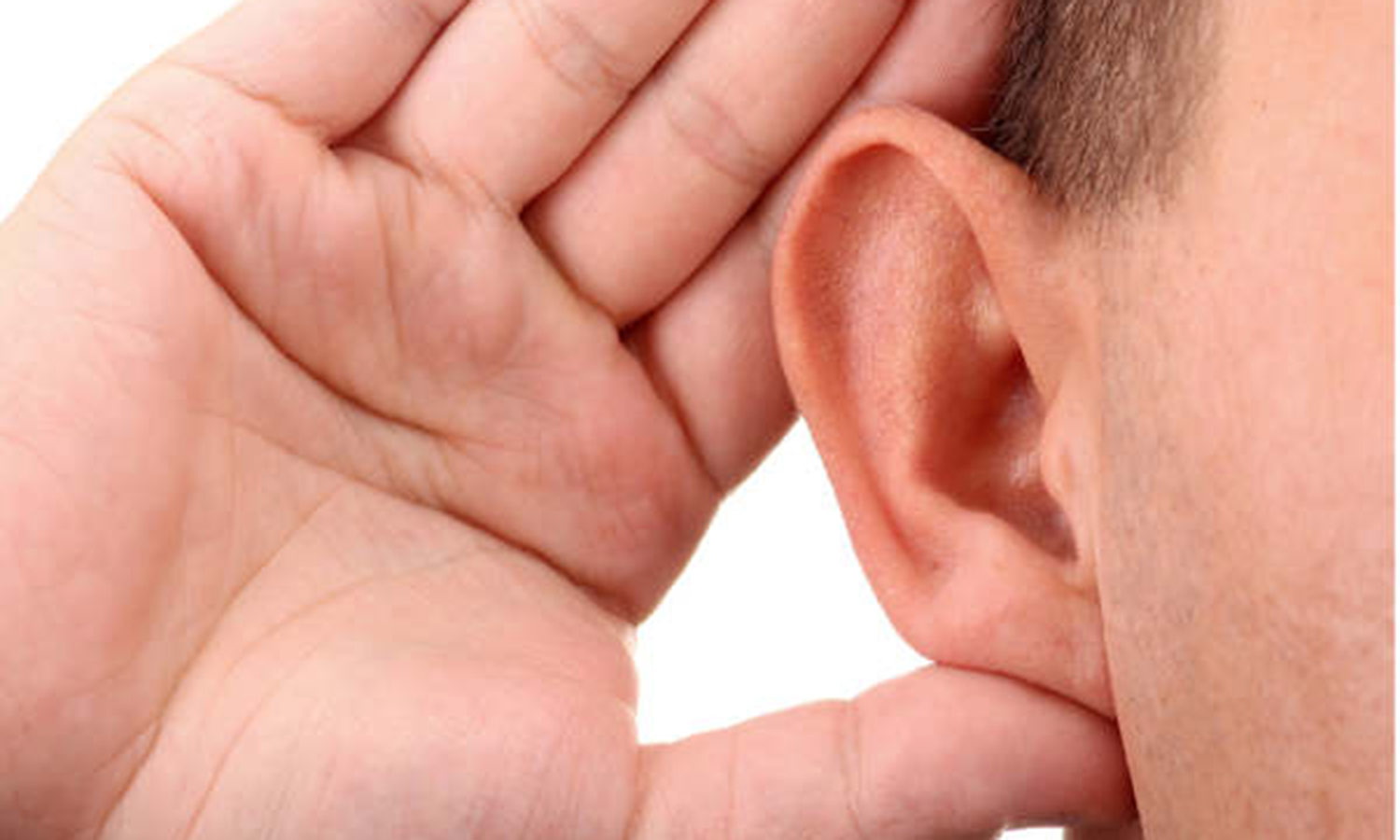 காலுக்கு துணைசெய்யும் காது