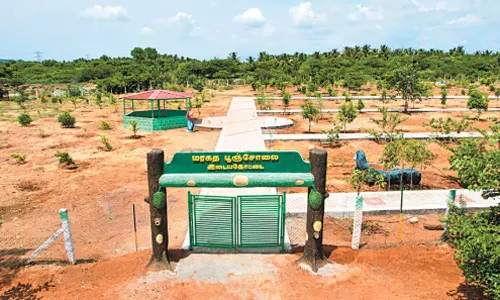 தமிழகத்தில் மேலும் 17 கிராம பசுமைக் காடுகளை உருவாக்க முடிவு- வனத்துறை தகவல்