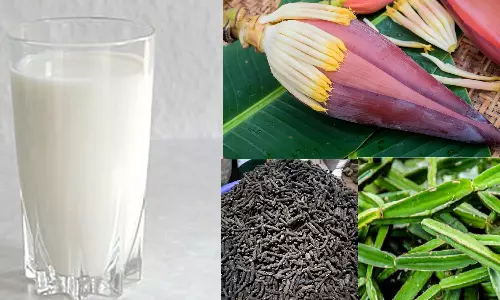 தாது பலப்பட..