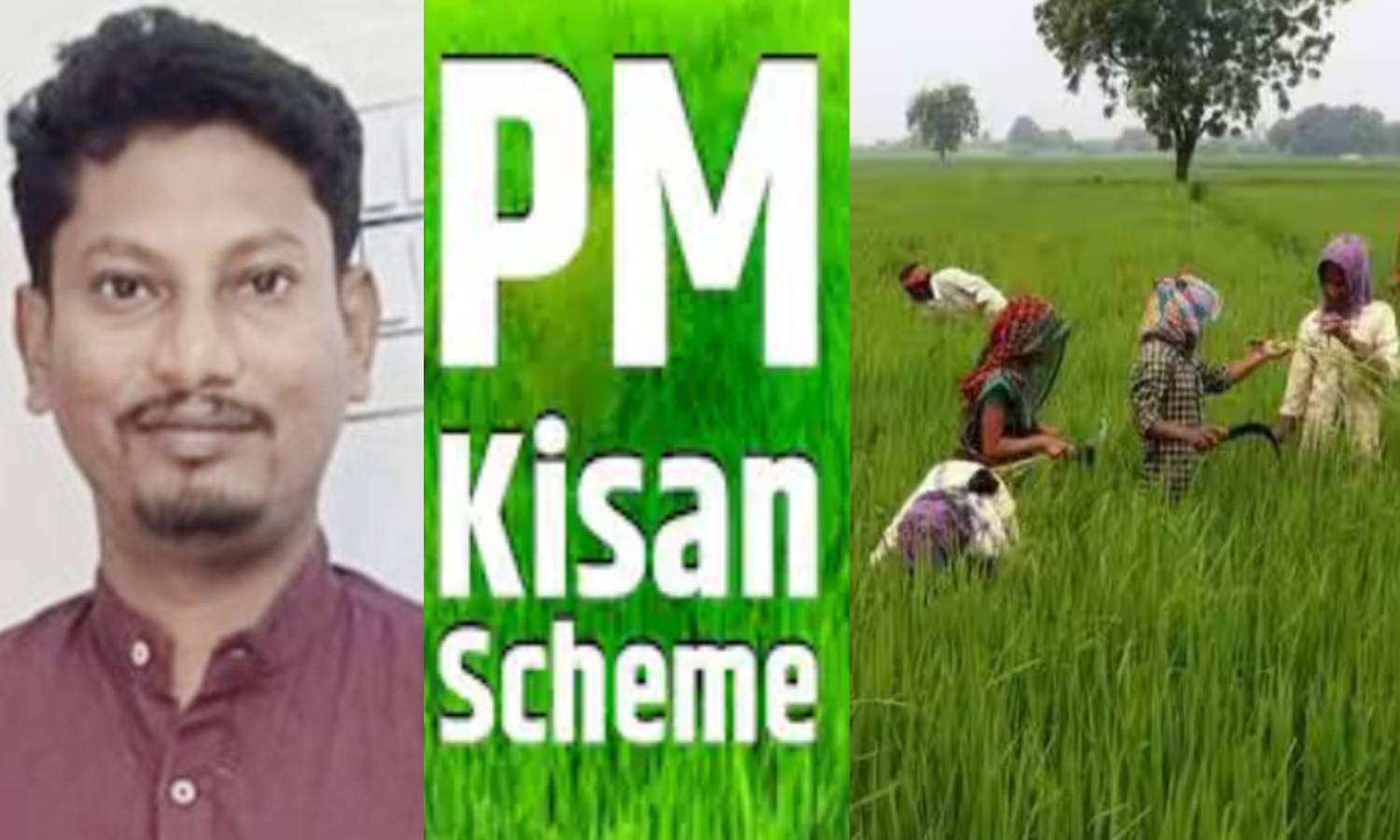 பிரதான் மந்திரி கிசான் சம்மன் திட்டம்: தவணைத்தொகைக்கு பதில் குறுஞ்செய்தி- விவசாயிகள் புலம்பல்