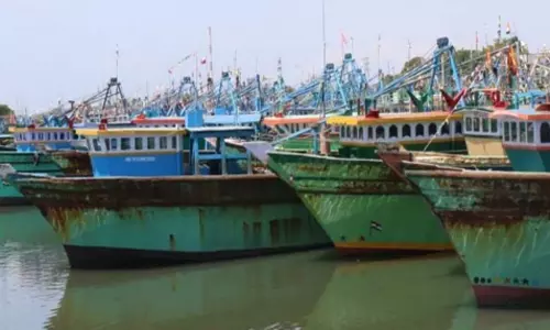 கடலோர பகுதிகளில் பலத்த காற்று- தூத்துக்குடி மீனவர்கள் இன்று கடலுக்கு செல்லவில்லை