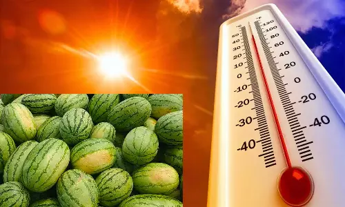 கோடை வெயிலை சமாளிக்க..