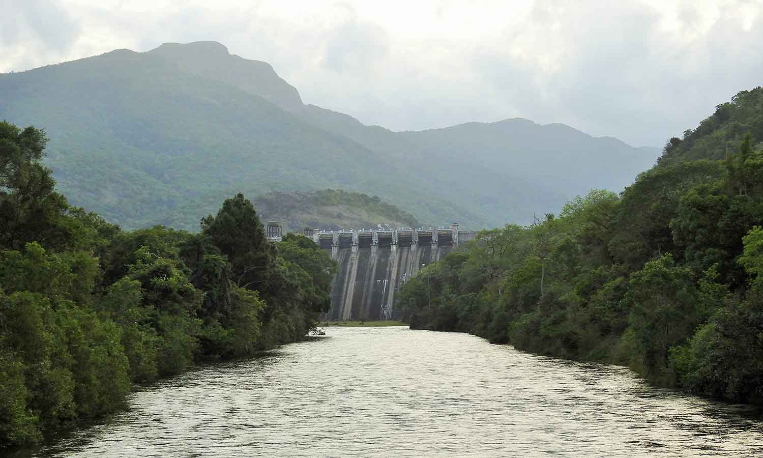 சேர்வலாறு அணை நீர்மட்டம் 105 அடியை எட்டியது