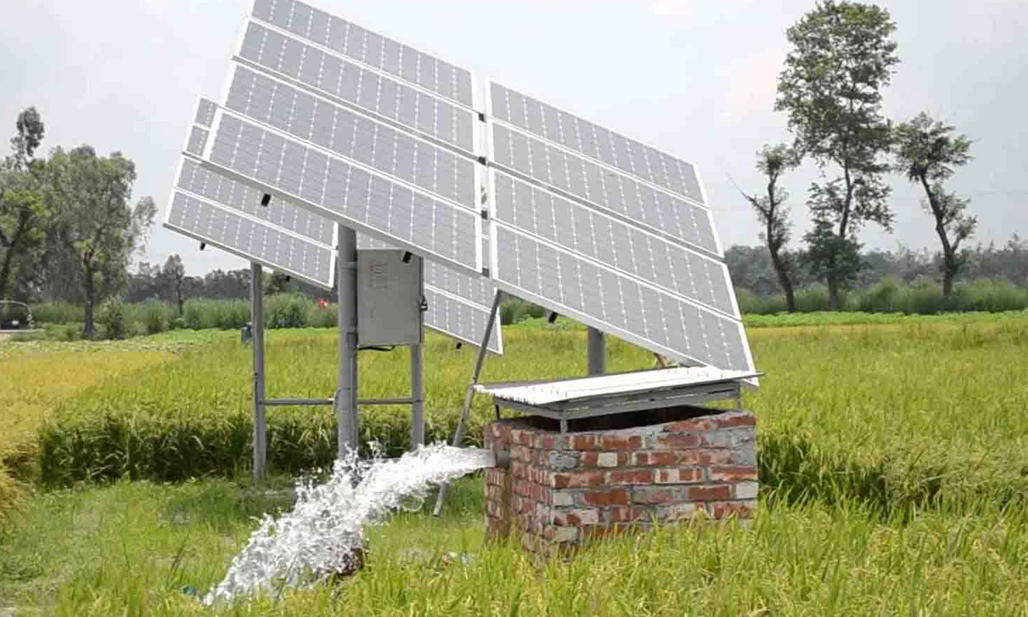 வேளாண் பட்ஜெட்: சூரிய சக்தியால் இயங்கும் பம்பு செட்டுகள் வழங்க ரூ.24 கோடி நிதி ஒதுக்கீடு