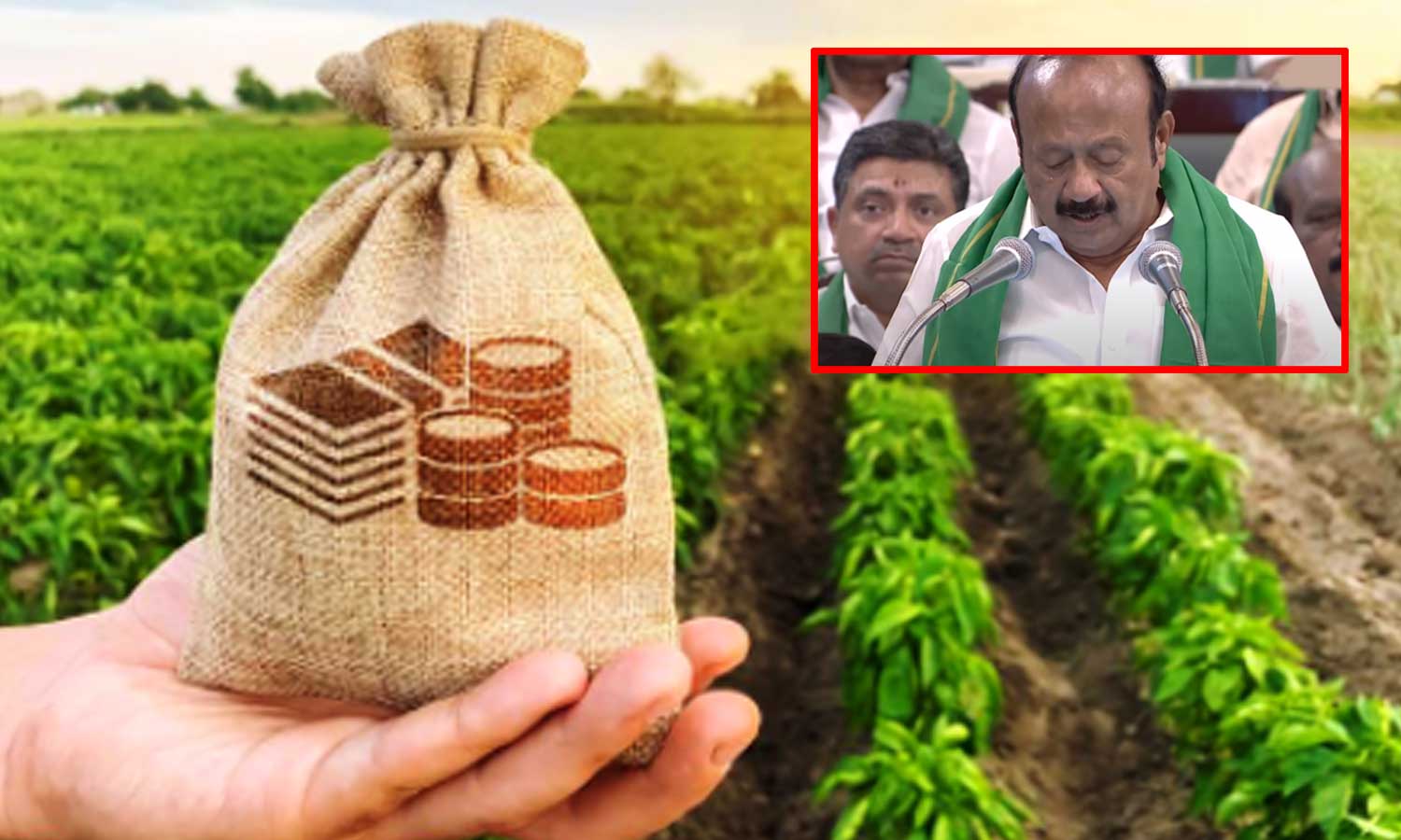 வேளாண்மை பட்ஜெட்:  கூட்டுறவு பயிர் கடனுக்கு ரூ.17000 கோடி ஒதுக்கீடு