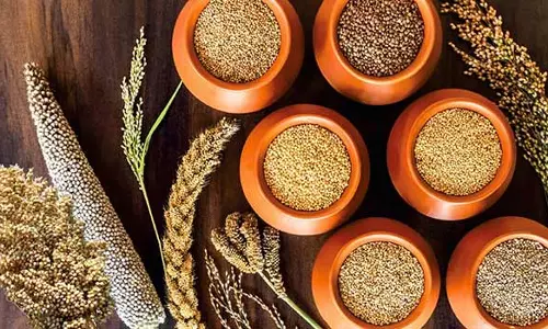 வேளாண்மை பட்ஜெட்: சிறு தானிய இயக்கத்தை செயல்படுத்த ரூ.52 கோடி ஒதுக்கீடு