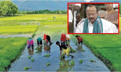 2025-26 நிதியாண்டில் வேளாண் துறைக்கு ரூ.45,661 கோடி நிதி ஒதுக்கீடு- பட்ஜெட்டில் அறிவிப்பு