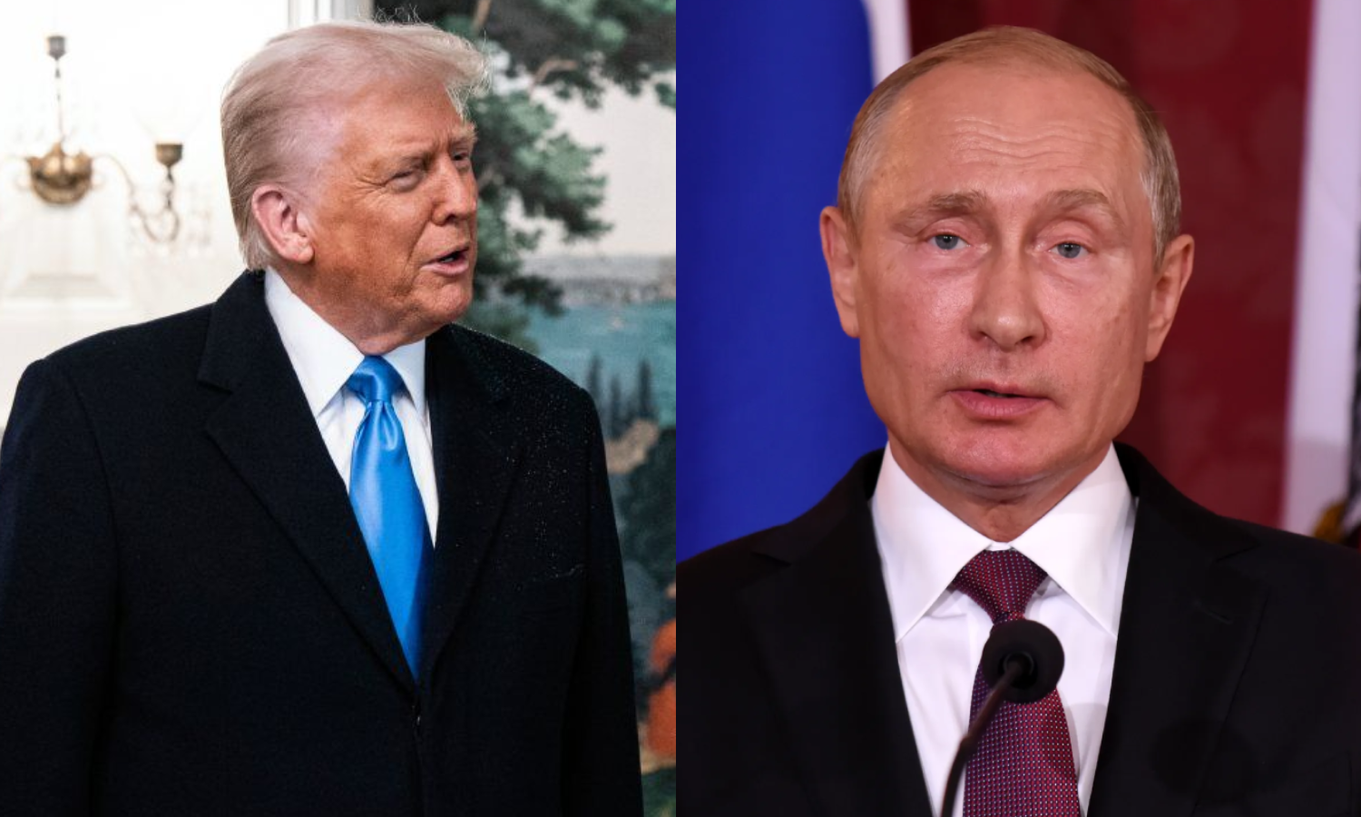 அதிபர் டிரம்ப் மற்றும் புதின் தொலைபேசியில் பேச்சுவார்த்தை - வெளியான புது தகவல்