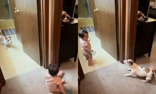 VIDEO: குழந்தையுடன் கண்ணாமூச்சி விளையாடும் நாய்