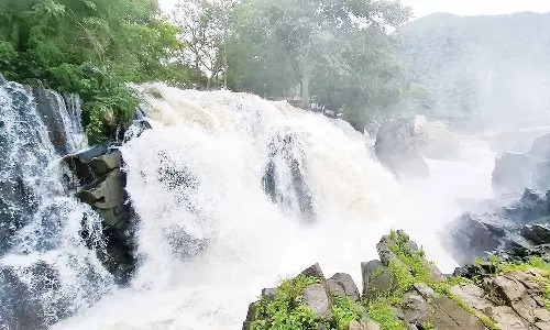 ஒகேனக்கல்லில் நீர்வரத்து 3 ஆயிரம் கனஅடியாக அதிகரிப்பு