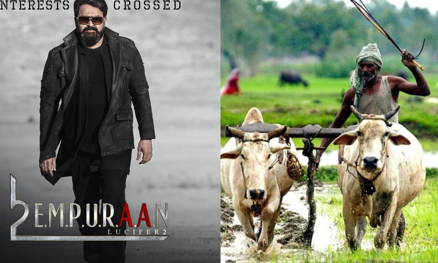 `எம்புரான்' திரைப்படத்தில் சர்ச்சைக்குரிய வசனங்கள்: தமிழக விவசாயிகள் கண்டனம்