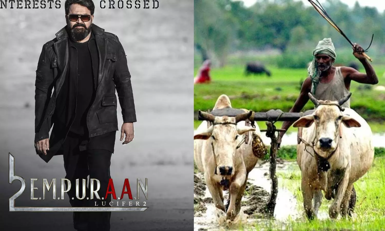 `எம்புரான் திரைப்படத்தில் சர்ச்சைக்குரிய வசனங்கள்: தமிழக விவசாயிகள் கண்டனம் `எம்புரான் திரைப்படத்தில் சர்ச்சைக்குரிய வசனங்கள்: தமிழக விவசாயிகள் கண்டனம்