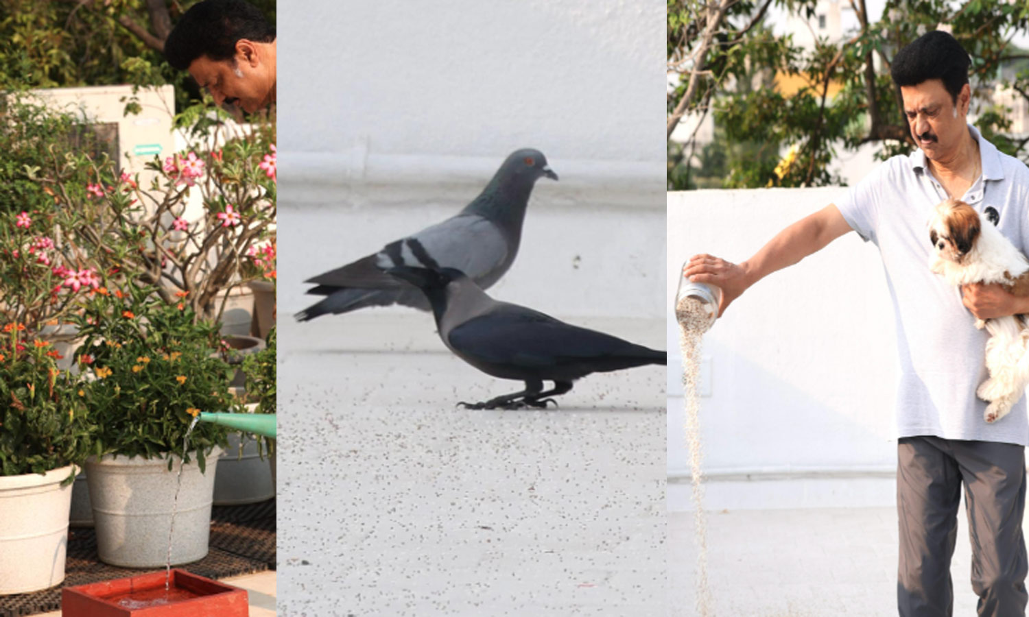 கோடை வெயில்: பறவைகளுக்கு நீரும் உணவும் கொடையளிப்போம்!- மு.க.ஸ்டாலின்