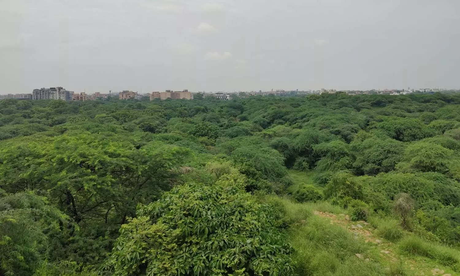 நாடு முழுவதும் 13.05 ஆயிரம் ச.கி.மீ. காட்டுப் பகுதிகள் ஆக்கிரமிப்பு: தமிழகத்தில் எவ்வளவு?