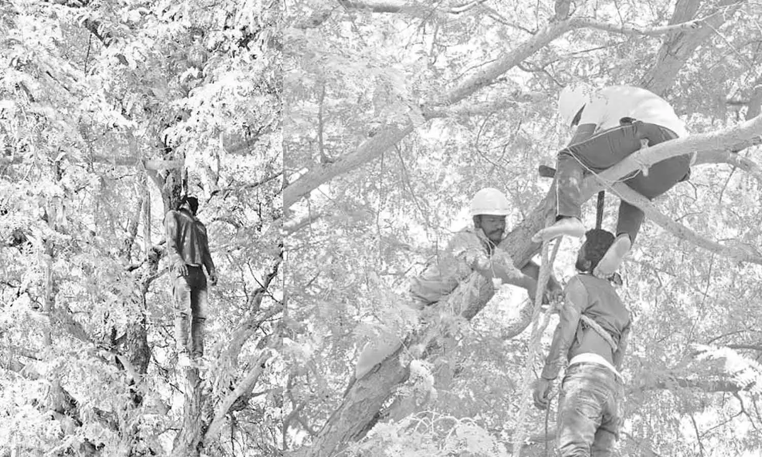 அரசு பள்ளி வளாகத்தில் மேஸ்திரி தற்கொலை- கள்ளக்காதலி வேறு ஒருவருடன் பழகியதால் விபரீத முடிவு அரசு பள்ளி வளாகத்தில் மேஸ்திரி தற்கொலை- கள்ளக்காதலி வேறு ஒருவருடன் பழகியதால் விபரீத முடிவு