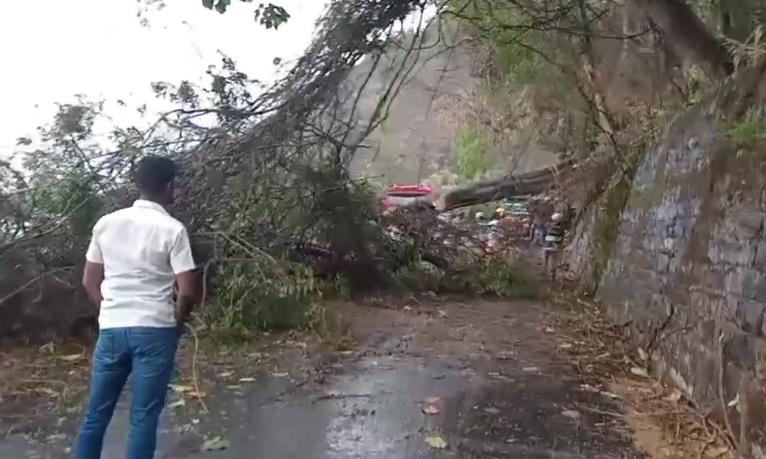 ஏற்காட்டில் சூறைக்காற்றுடன் கனமழை- சாலையில் மரம் விழுந்ததால் போக்குவரத்து பாதிப்பு