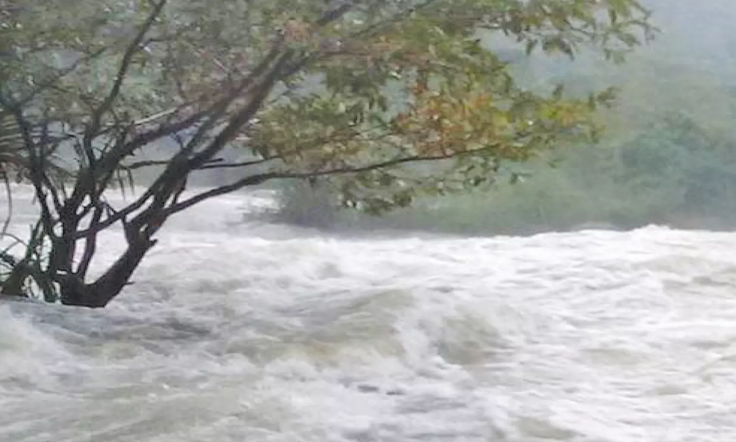 ஏரியைக் காத்த கன்னி! ஏரியைக் காத்த கன்னி!